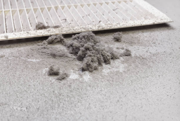 Best Best Air Duct Cleaning Company  in Cudjoe Key, FL