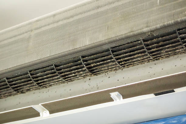 Best Best Air Duct Cleaning Near Me  in Cudjoe Key, FL